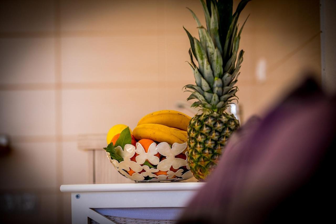 אוקרוג גורניי Apartments Marija מראה חיצוני תמונה
